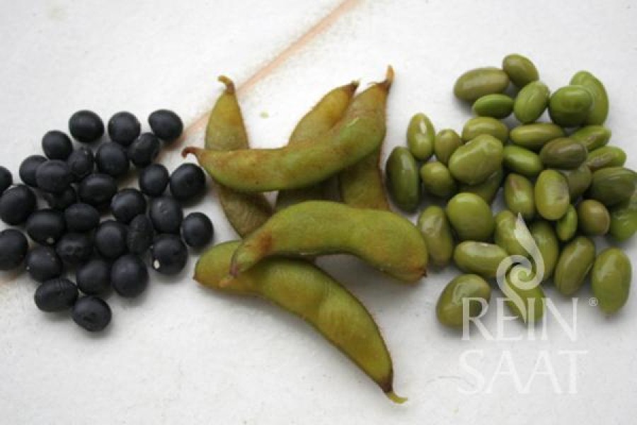 Bo072_Soia Hokkai_Black